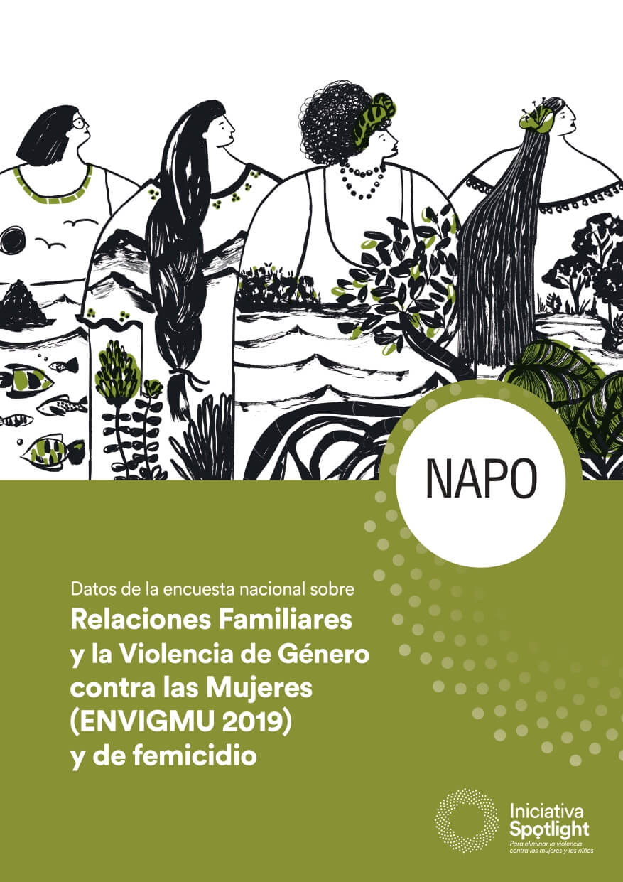 Napo Datos de la encuesta nacional sobre Relaciones Familiares y la Violencia de Género contra las Mujeres (ENVIGMU 2019) y de femicidio