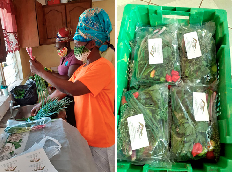 Las mujeres agricultoras empaquetan y etiquetan las verduras para la venta en la casa de un miembro, ya que la construcción de su fábrica se detuvo debido a las restricciones de COVID-19 sobre el movimiento y el trabajo. Foto: ONU Mujeres / Dawn Francis